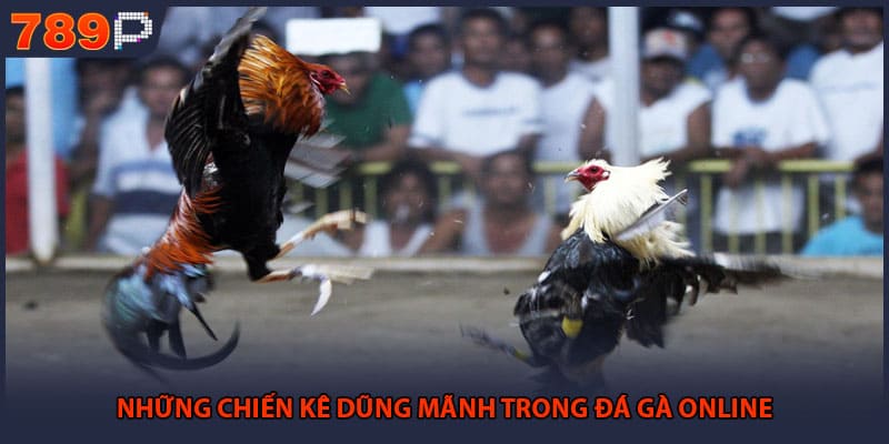 Những chiến kê dũng mãnh trong đá gà online