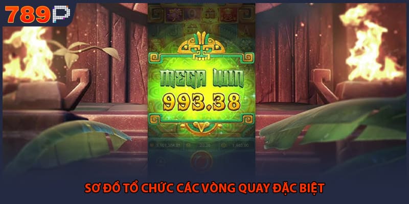 Sơ đồ tổ chức các vòng quay đặc biệt