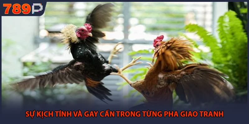 Sự kịch tính và gay cấn trong từng pha giao tranh